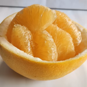 【希少柑橘】安政柑　　　　しまなみ春柑橘　(^^♪　