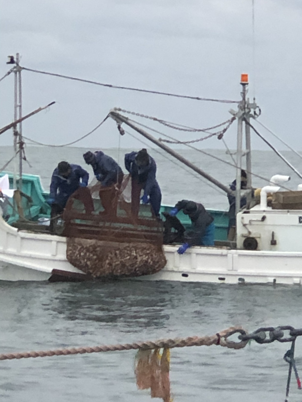 活九十九里地はまぐり 千葉県ブランド水産物認定品 椎名丸漁業 農家漁師直送のポケットマルシェ