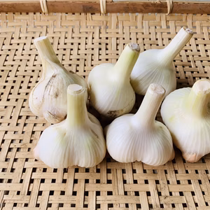 【数量限定】ホクホク美味しい！無臭にんにく