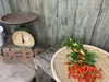 【琉球島とうがらし】石垣市農林水産部推奨・島野菜