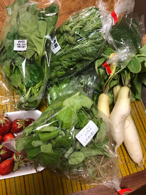 みんなの投稿の画像