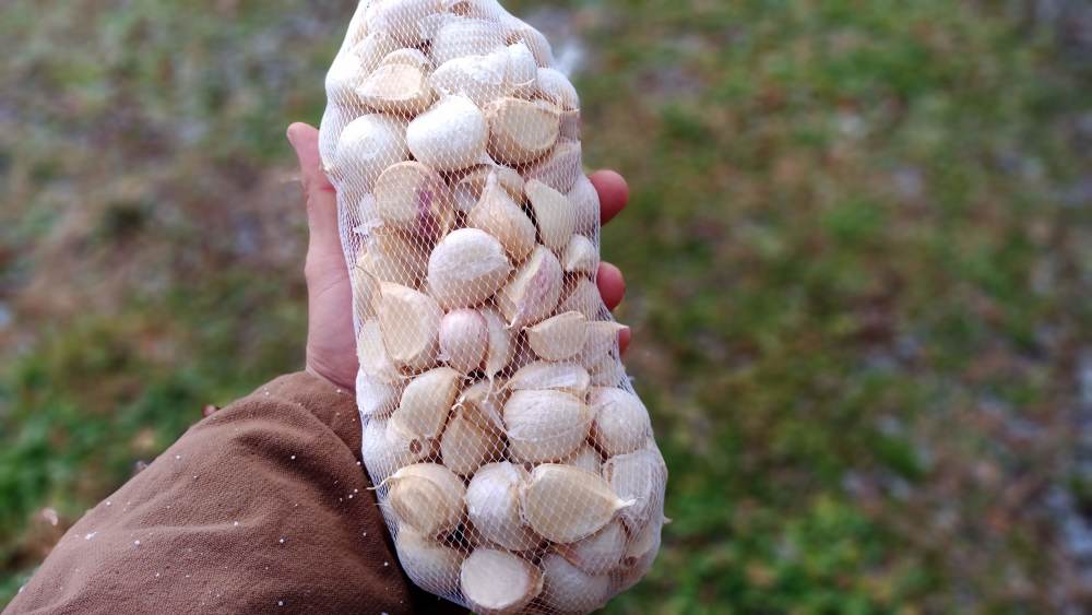 農薬不使用 乾燥バラ1kg 青森県田子町 農薬不使用 農家漁師から産地直送の通販 ポケットマルシェ