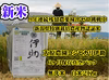 【定期】真空パック確定 9年連続残留農薬ゼロ コシ伊助 無洗米 白米２Ｋｇ