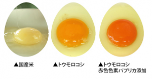 12043201_986211648068606_4162525095483070046_n