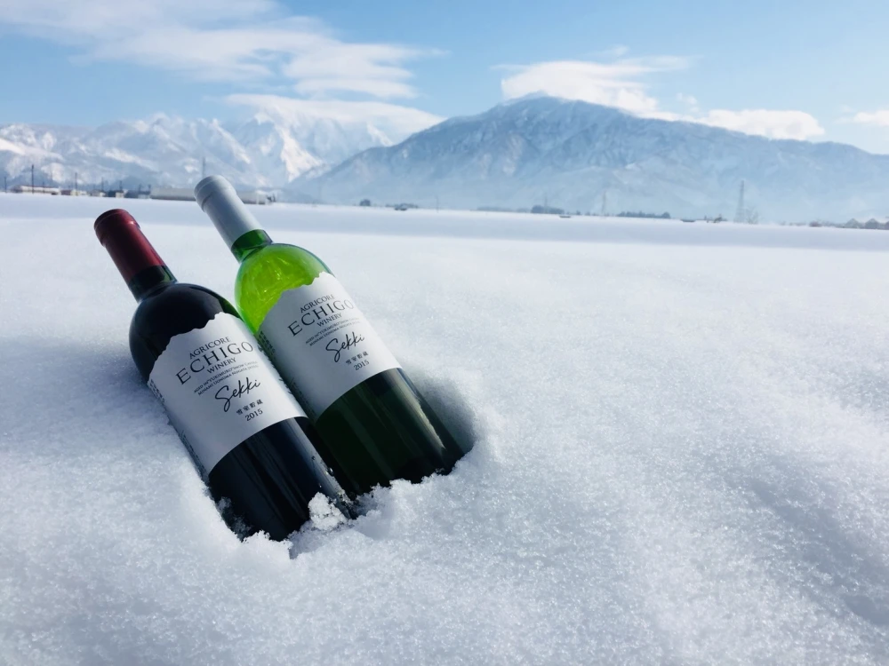 雪室貯蔵ワイン　雪季（せっき）赤白セット　750ml