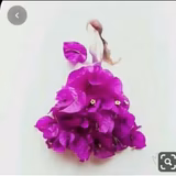 めいとねこばす