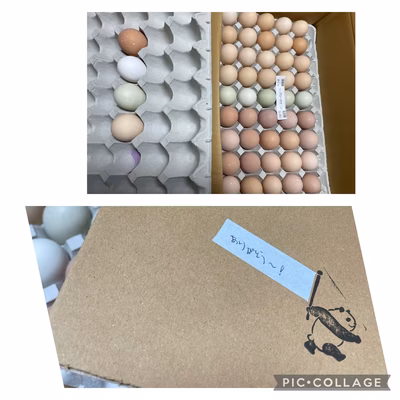 みんなの投稿の画像