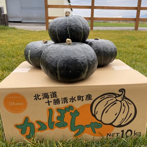 栗系カボチャ　ブラックのジョー　くりゆたかDX　食べ比べセット
