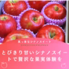 採れたて りんご シナノスイート 訳あり 家庭  3kg 5kg 10kg