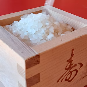 冷たく透き通った水で育った「郡上のコシヒカリ」（白米）