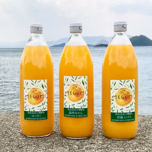 【農薬不使用】柑橘ジュース飲み比べ3本セット　1000ml