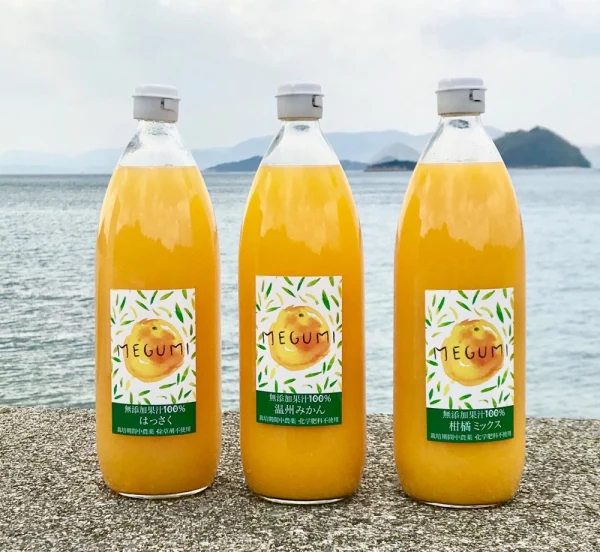 農薬不使用柑橘ジュース飲み比べ3本セット　1000ml