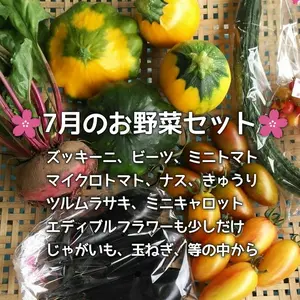 7月の少量お野菜セット　淡路島よりAwajicHorrorGarden
