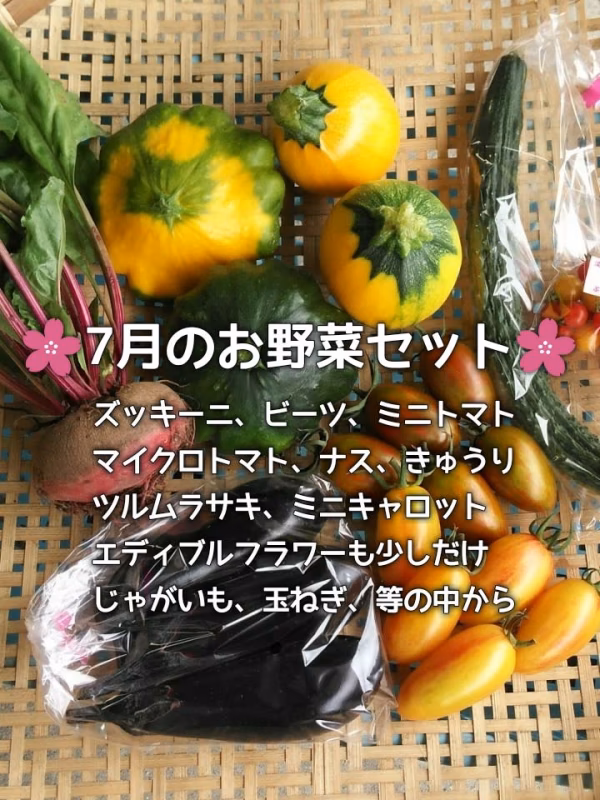 7月の少量お野菜セット　淡路島よりAwajicHorrorGarden