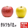 ふじりんご&シナノゴールド【贈答用10kg】食べ比べ☆10月下旬出荷開始