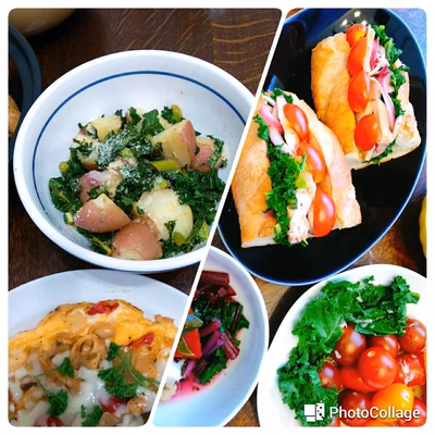 みんなの投稿の画像