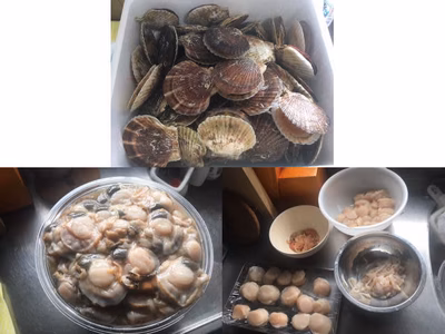 みんなの投稿の画像