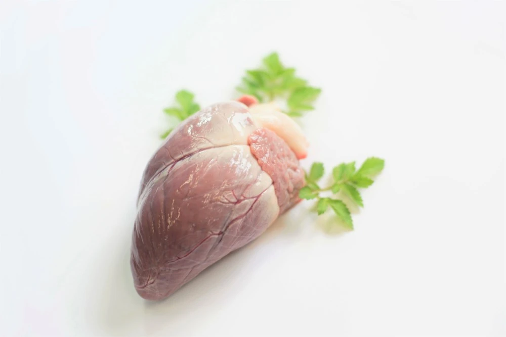 鹿肉★希少部位同梱セット★鹿タン（90g）＆鹿ハツ（200g）