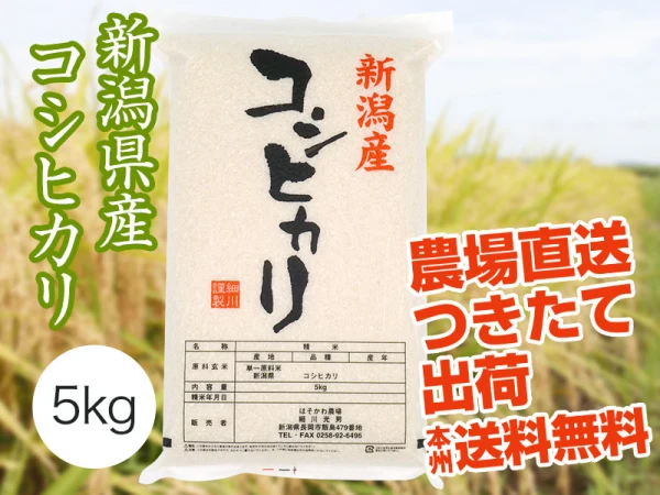 【定番人気】令和2年産新潟県長岡産コシヒカリ白米5kg