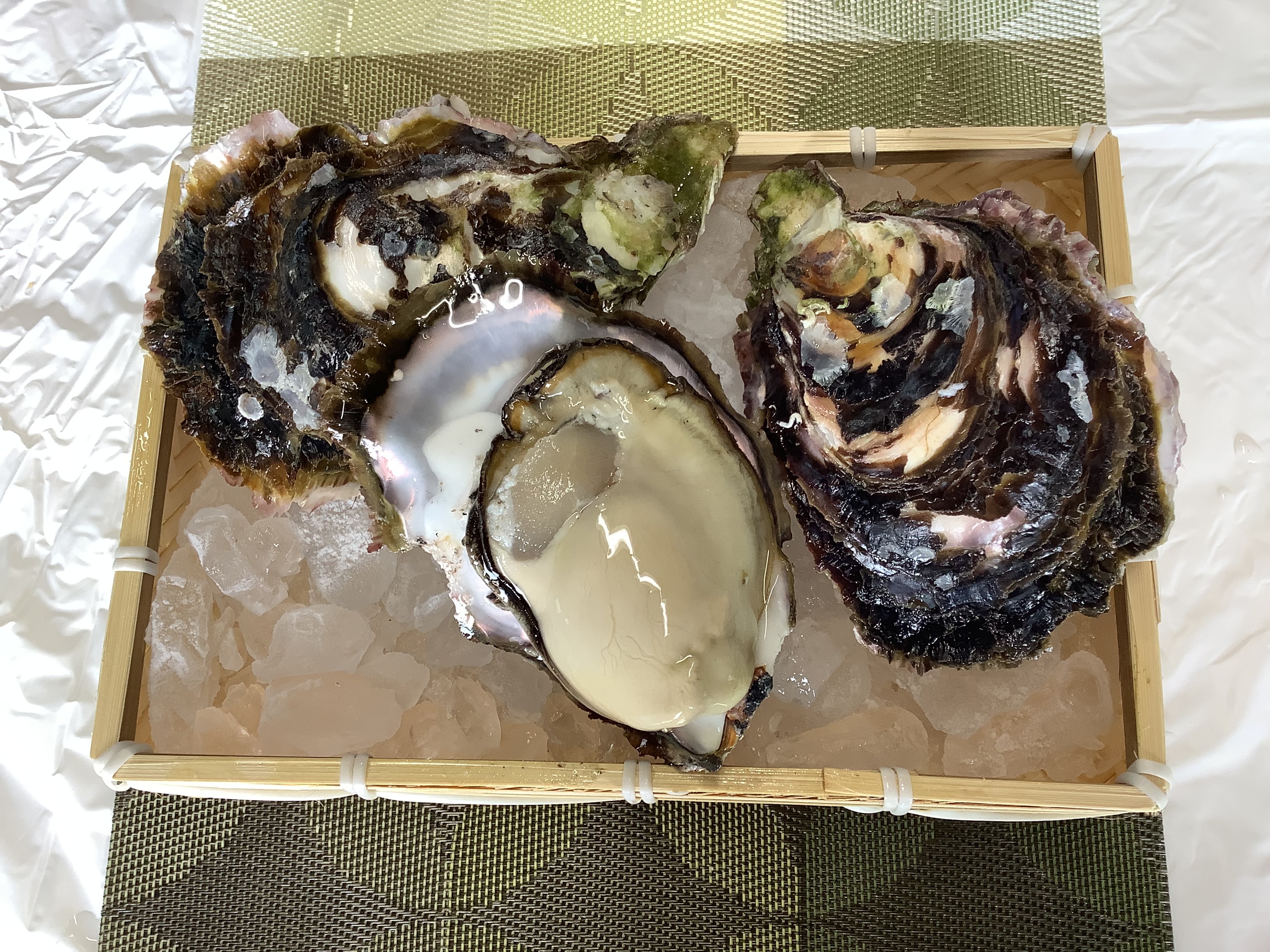 お一人様限定　1000円引き！！特別価格　真牡蠣10kg 送料込み　漁師直送 幸漁丸水産 特鮮 鳴瀬牡蠣 むき身300g×2≪生ガキ≫【送料無料】