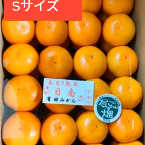 【数量限定】樹上熟成 有田みかん 夕やけみかん（Sサイズ・懐かしの甘さ）