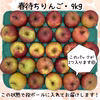 送料無料◎春になっても美味しい！春待ちりんご【訳あり9kg】