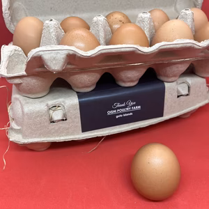TOCO-tori EGG(トコトリエッグ）おうち贅沢BOX(20個入り）　　