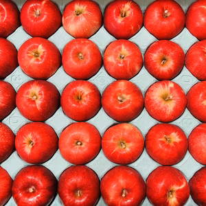 紅玉！5キロ箱　極小玉サイズ！！クッキングアップル！！