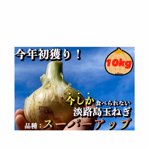 即出荷致します❗️淡路島新玉ねぎ✨　1日10箱限定❗️ 