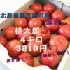 大玉トマト【4キロ箱満杯詰め】喜茂別のトマト【桃太郎】!!サイズはお任せ