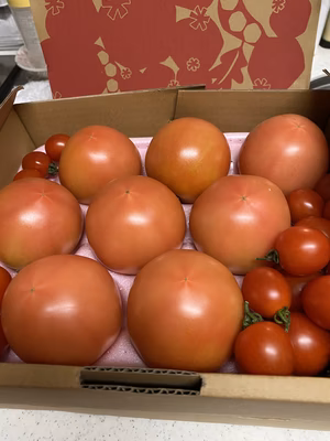 みんなの投稿の画像