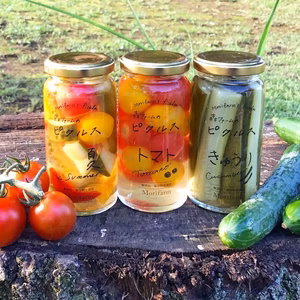 【無添加】野菜ソムリエと作ったピクルス！森ファームのピクルス３種　各７０g