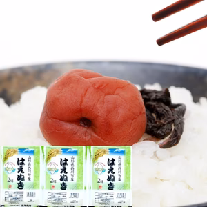 おいしいはえぬき 2kgx3袋 特A米 1等米 無洗米 令和6年山形産 