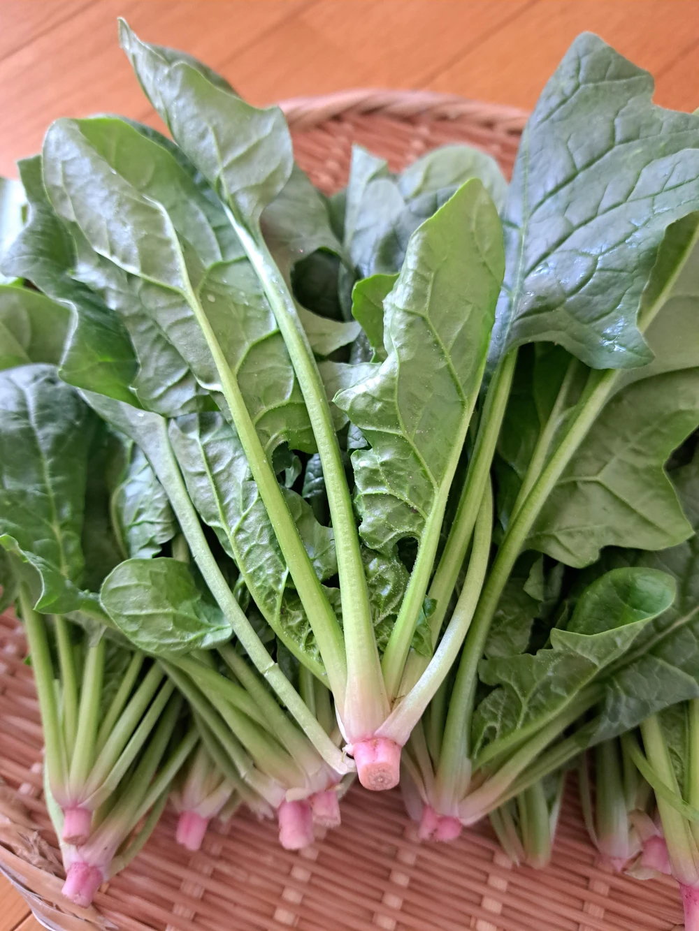 信州産  ほうれん草