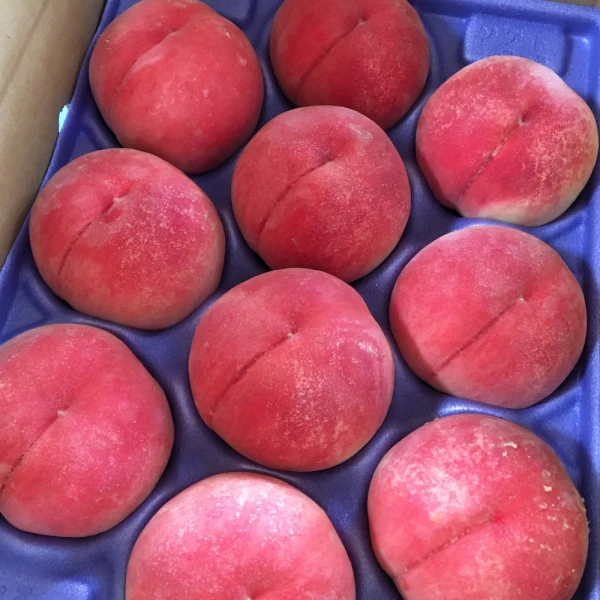 福島の桃 3kg 9月の品種おすすめ 9月上-中旬お届け