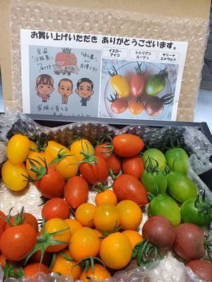 みんなの投稿の画像