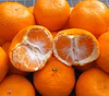 【温州みかん】水分たっぷり糖度10度「L/2L」混在3kg