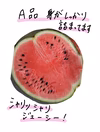 2玉セット/幻の伊勢吉西瓜/小吹スイカLサイズ4.7~6.5kg A品
