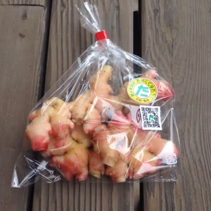 無農薬　たのしく金時しょうが 1kg