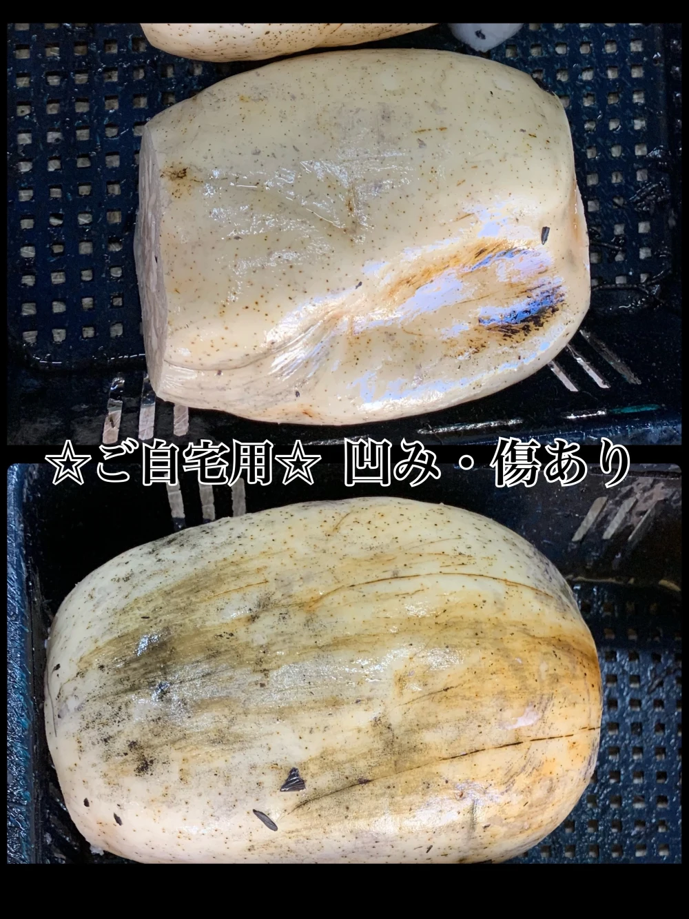 冷蔵【北海道限定】れんこんグランプリ 最優秀賞受賞 贈答orご自宅用 ！？
