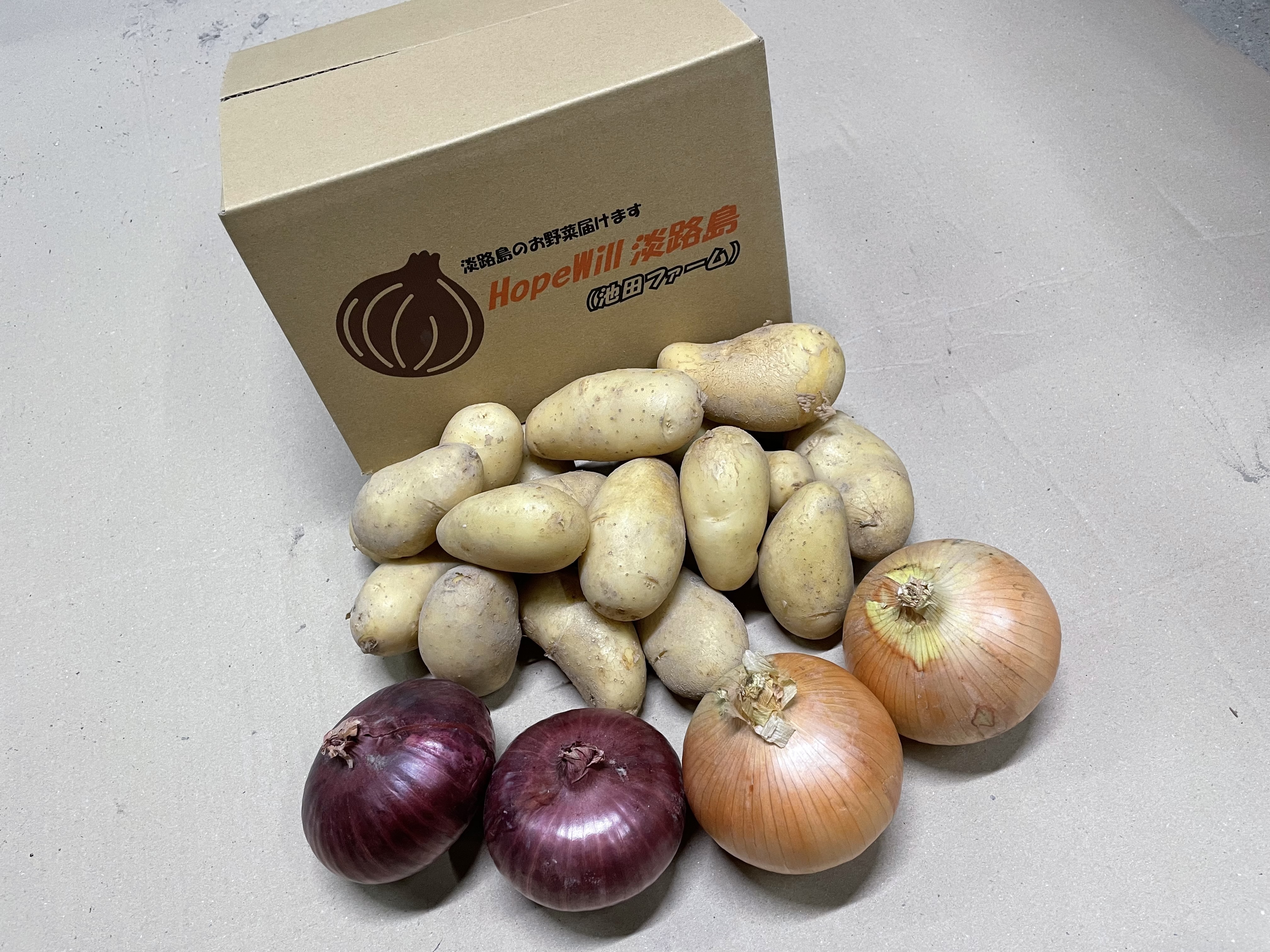 新ジャガと玉ねぎセット レッドオニオン入り 新じゃがセット1.5kg
