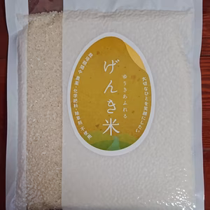 有機栽培・無農薬・富山県産コシヒカリ　白米（精米済）真空パック入り！　