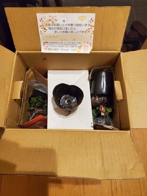 みんなの投稿の画像