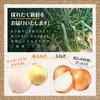 淡路島 玉ねぎ 10キロ 定期便 甘い 玉葱