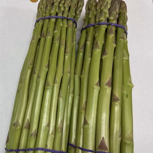 はなまる農園さぬきのめざめM L1キロ