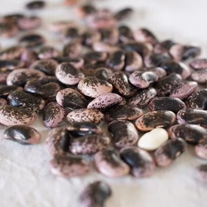 【令和7年産・花豆】群馬・六合の高原農家の伝統花豆（レシピ付）