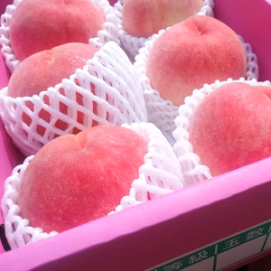 《数量限定》香川県産　桃　夏乙女