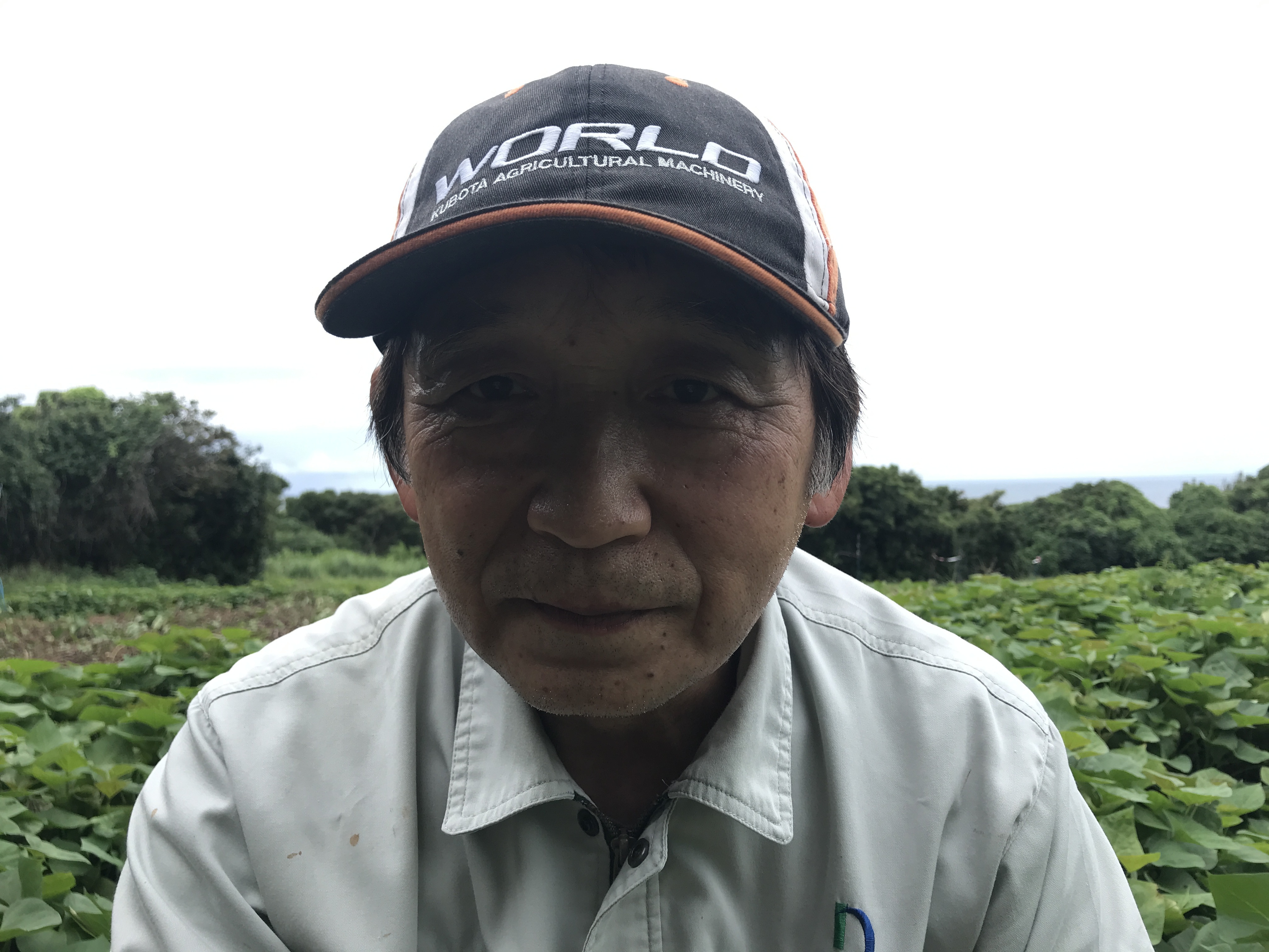 長崎県壱岐市｜壱岐の島小さな農家｜大嶋勝正さんの生産者プロフィール｜ポケットマルシェ｜産地直送で旬の食材が生産者(農家・漁師)から届く