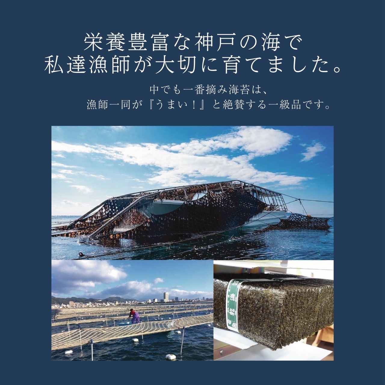 新芽1番掴み】漁師の味付けのり｜海苔（のり）の商品詳細｜ポケット