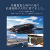 【新芽1番掴み】漁師の味付けのり